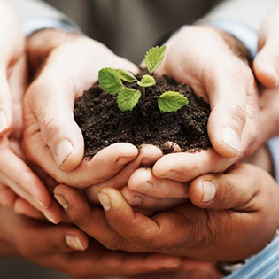 Ashati Foundation Logo (Energy Healing courses online)